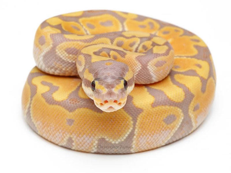 banana ball