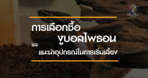 การเลือกซื้อ งูบอลไพธอน